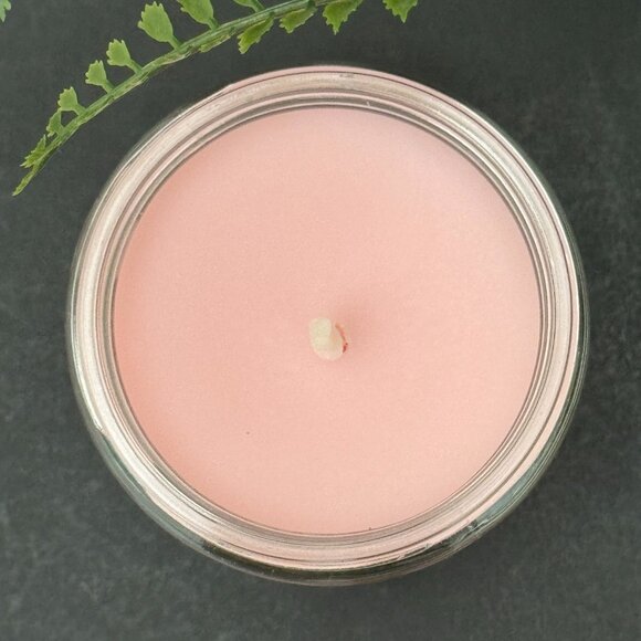 BBW The Perfect Summer Bath & Body Works Mason Jar Single Wick Candle - Picture 7 of 10